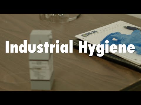 Industrial Hygiene with Lori Siegelmen of W & M Environmental