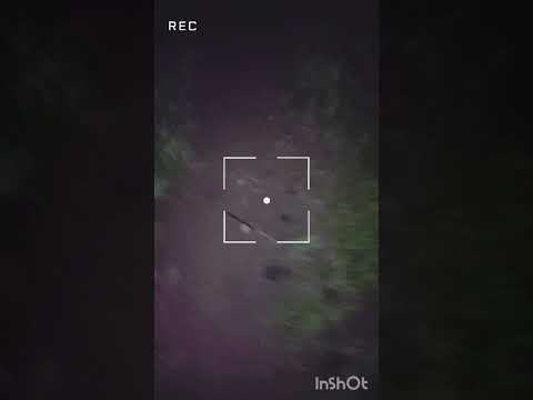 #Adayinmyvillagelife