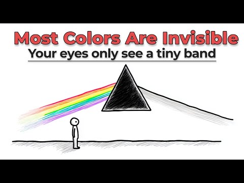 The Colors You Can’t See — And How We Reveal Them