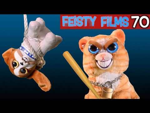 Feisty pets episodes 70 cats Morning rotente