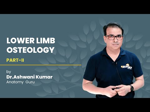LOWER LIMB OSTEOLOGY (PART 2)