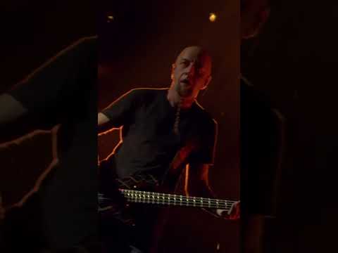@sicknewworldfest 2023 official recap out now. #systemofadown #sicknewworld