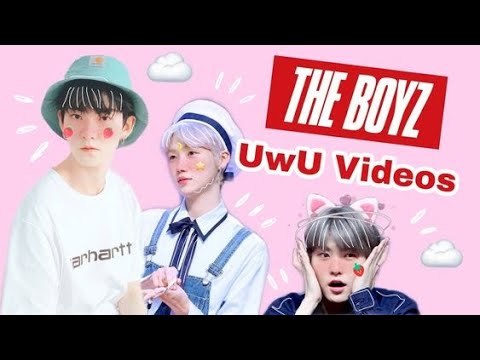 The Boyz uwu moments