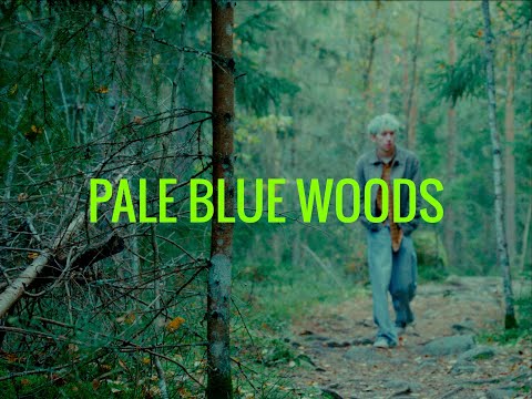 Pale Blue Woods | Sony ZV-E10 | CinePrint 16