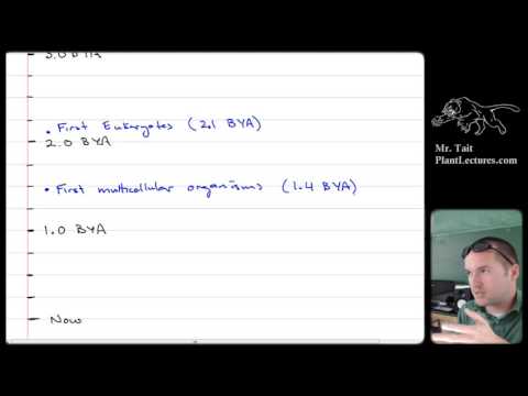 AP Biology - Evolution - Lesson 7: History of Life on Earth