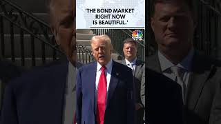 The Bond Market Is Beautiful Right Now: Donald Trump | Trump Hits 90-Day Pause On Tariffs | N18G