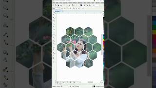 CorelDraw PowerClip | CorelDraw tutorials | Clipping Mask | Polygon tool tips