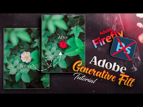 How To Use Adobe Firefly | Adobe Firefly Tutorial