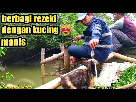 MANCING IKAN KETEMU KUCING KELAPARAN