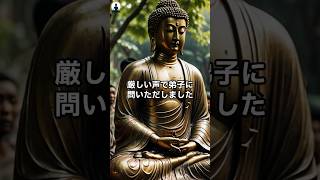 ブッダの怒り💢穏やかな心の裏に隠された教訓　#ブッダ #釈迦 #スピリチュアル #金運