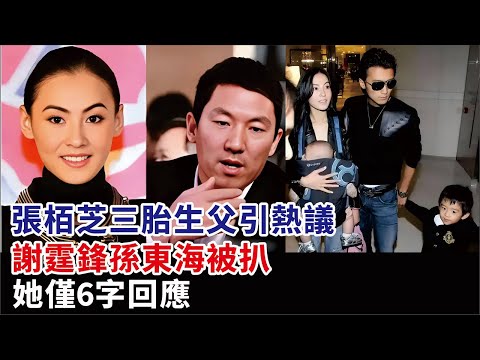 張栢芝三胎生父引熱議！謝霆鋒孫東海被扒，她僅6字回應#張栢芝#謝霆鋒#孫東海#謝賢#謝婷婷#王菲#陳冠希#戴麗莎#李小冉#殷桃#明星娛記