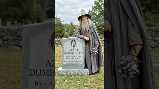 Harry Potter Characters Who Lost Their Lifes visiting their Graveyards 🥺