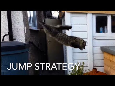 Math Jump Strategy Addition & Subtraction #math #tutor #mathematics