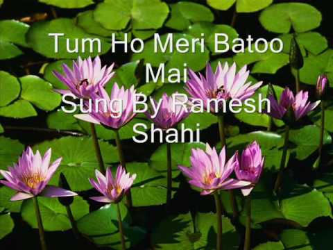 Tum ho | new song | lyrical video song |