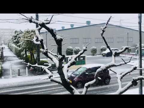 It's snowing || snow flakes everywhere!!!