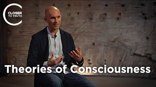 Anil Seth - Theories of Consciousness