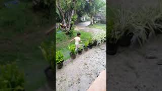 its raining men
