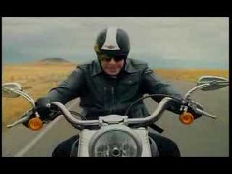 wild hogs