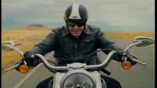 wild hogs