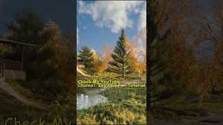3D Environment in Blender | Full Timelapse + Free Assets | Bee CGI #3danimation #3denvironment