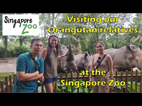 FAMILY | Visiting Relatives at the Zoo #49 | SG | TRAVEL #3 | ZOO | ANIMALS #singaporezoo #mandai #3