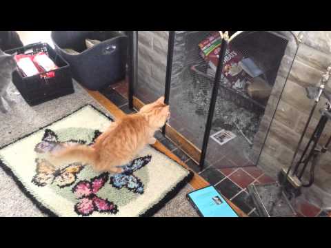 Garth's introduction to a laser pointer