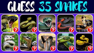 Can You Guess The Snake In 3 Seconds 🐍🤔 | Snake Quiz Challenge