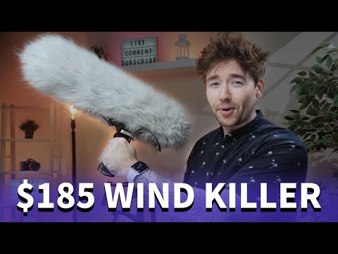 Eliminate Wind Noise with the DigitalFoto Micolive Mic Blimp