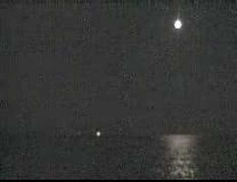Dancing in the Moonlight