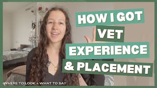 How I Got Vet Experience Before Vet School + Placement Tips That Worked for Me