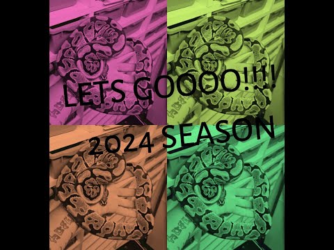 lets GOOOO!!!! 2024