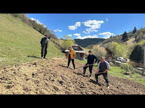 Village Life in the Carpathians 🏔️ | Planting Potatoes 🥔, Stone Flower Bed 🪨, Green Borscht 🍲