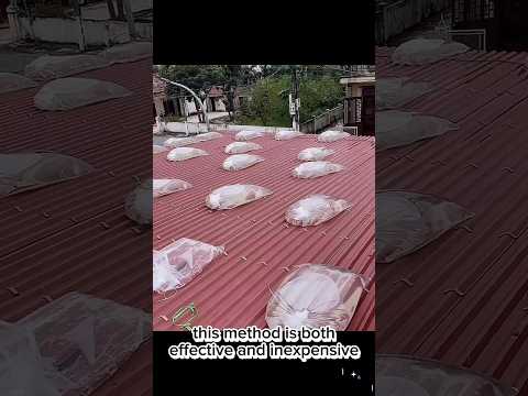 Reinforce Roof By Water Bags