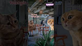 Bisa Cepat, Murah, Bagus? Lu Pikir Beli GORENGAN?! 😂🐱