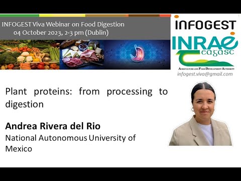 12th INFOGEST Viva Webinar on Food Digestion - Andrea Rivera del Rio - Plant proteins