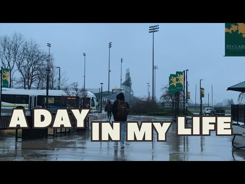 Rain, Buses, and Gains – A Day in My Life