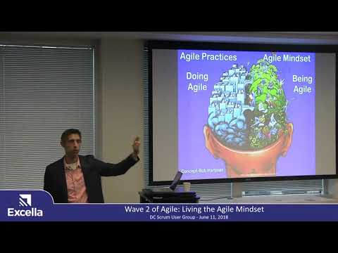 Wave 2 of Agile: Living the Agile Mindset by Michael Sahota