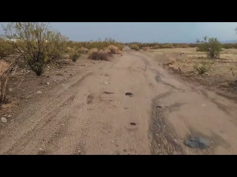 Aftermath of A Desert Thunderstorm