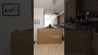 TCL X11L 75" SQD-Mini LED Unboxing!