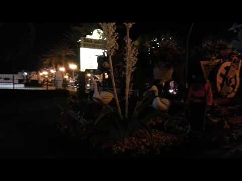 2013 City of San Gabriel Rose Parade Float