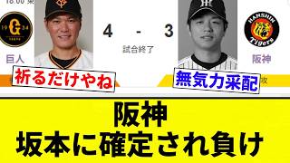 [Confirmed] Hanshin loses after Sakamoto seals the deal [Pro Baseball Reaction Collection]