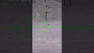 300 Yard Shot 243 Vmax #thermalhunting #coyotehunting