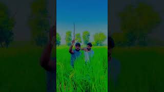 Wait for the end 🤣🤣.                         #viral#comedy#trendingshorts#newvideo#funny#funnydev#