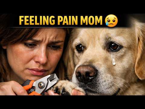How to Trim Your Dog's Nails at Home | STEP BY STEP WITH TIPS