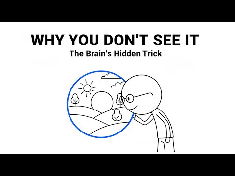 Why You Don’t See Your Blind Spot (The Brain’s Hidden Trick)