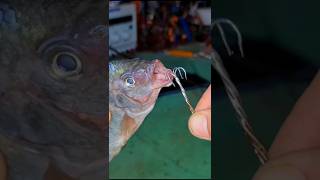 Fishing hook making tutorial #diy #diyfixes #brokenfix #experiment #brokenitemsfix