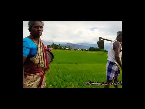 Tenkasi ♥️ #shortvideo #shorts #travelvlog #greenery