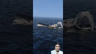 व्हेल मछली को बेरहमी से मारा😱 #facts #3danimation #3dartist #3dart #3dprinting #3dmodeling #shorts