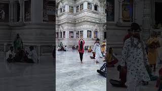 वृंदावन🧿🥹🙏। #youtubeshortvedio #वृंदावनधाम #वृंदावनलाइव 🙏