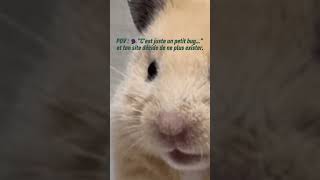 Qui a déjà vécu ça ? 🤦‍♂